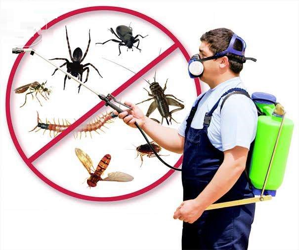 Pest control